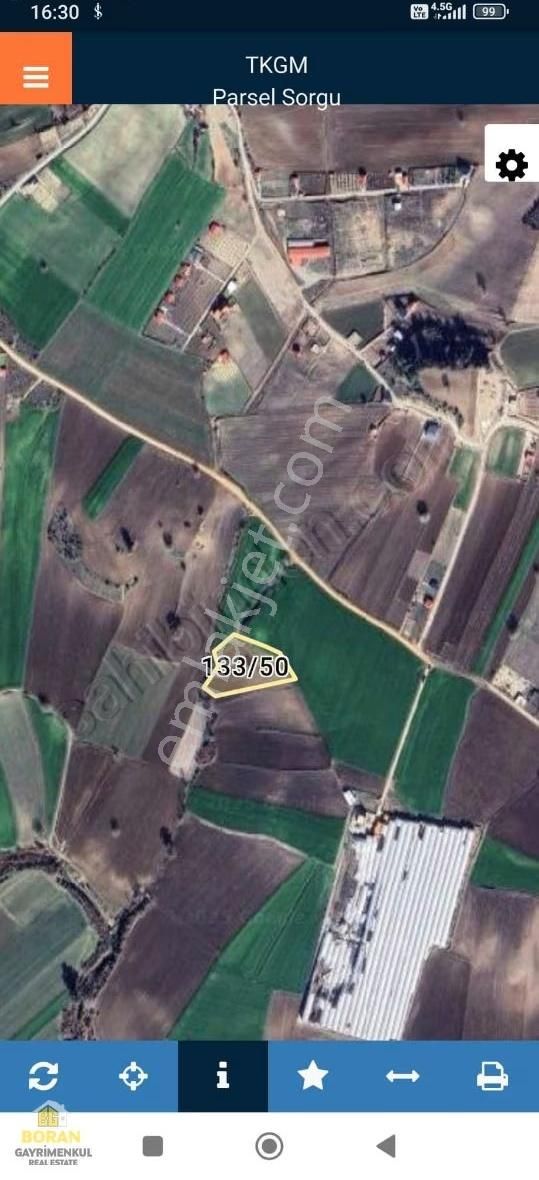 Boran Gayrimenkul'den Karaisalı Kuzgunda Satılık Araziler - Görsel 10