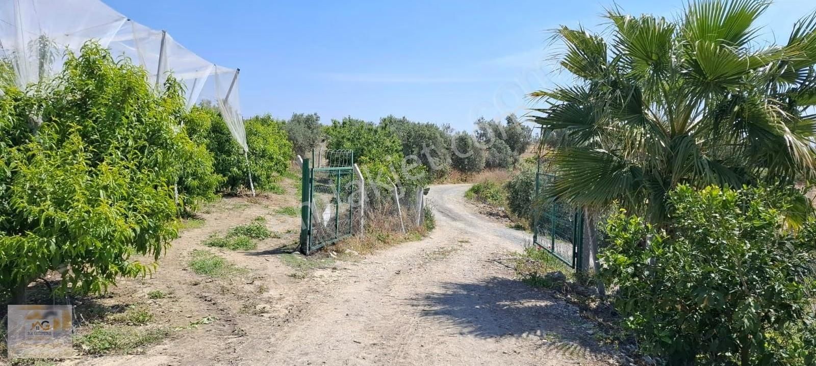 Mersin Tarsus İhsaniye Mah.'de 15 Dönüm Satılık Şeftali Bahçesi - Görsel 5