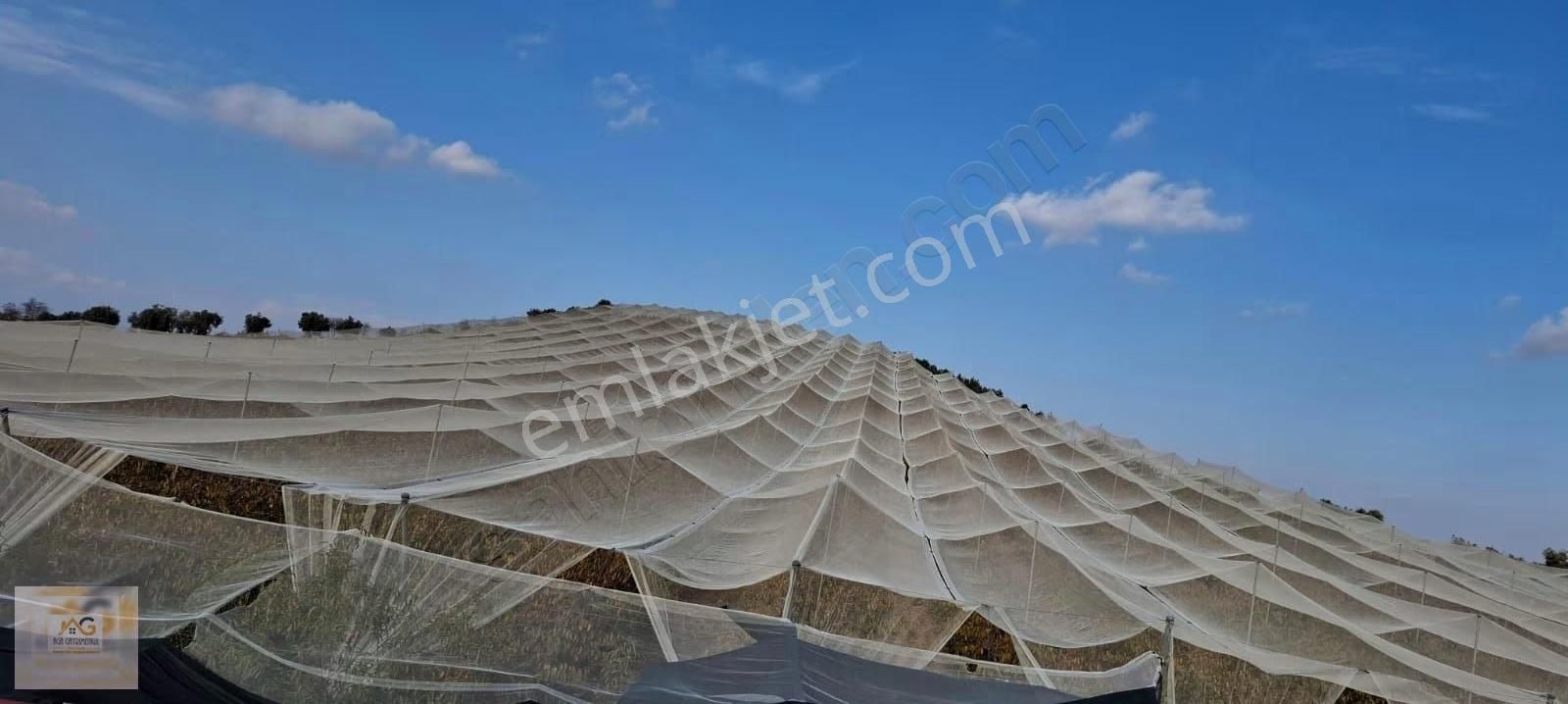 Mersin Tarsus İhsaniye Mah.'de 15 Dönüm Satılık Şeftali Bahçesi - Görsel 3