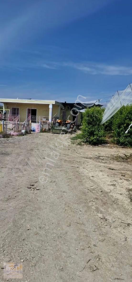 Mersin Tarsus İhsaniye Mah.'de 15 Dönüm Satılık Şeftali Bahçesi - Görsel 7