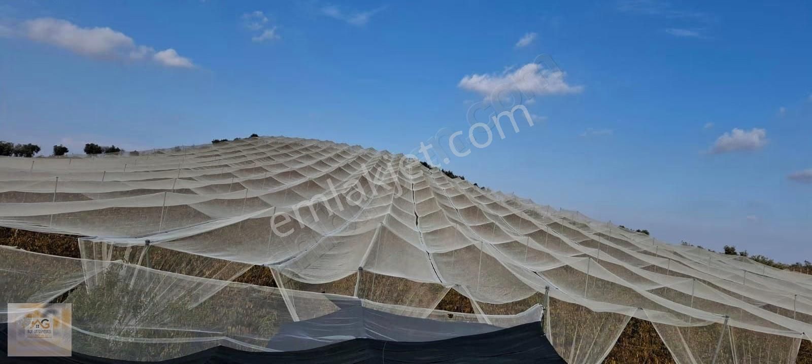 Mersin Tarsus İhsaniye Mah.'de 15 Dönüm Satılık Şeftali Bahçesi - Görsel 6