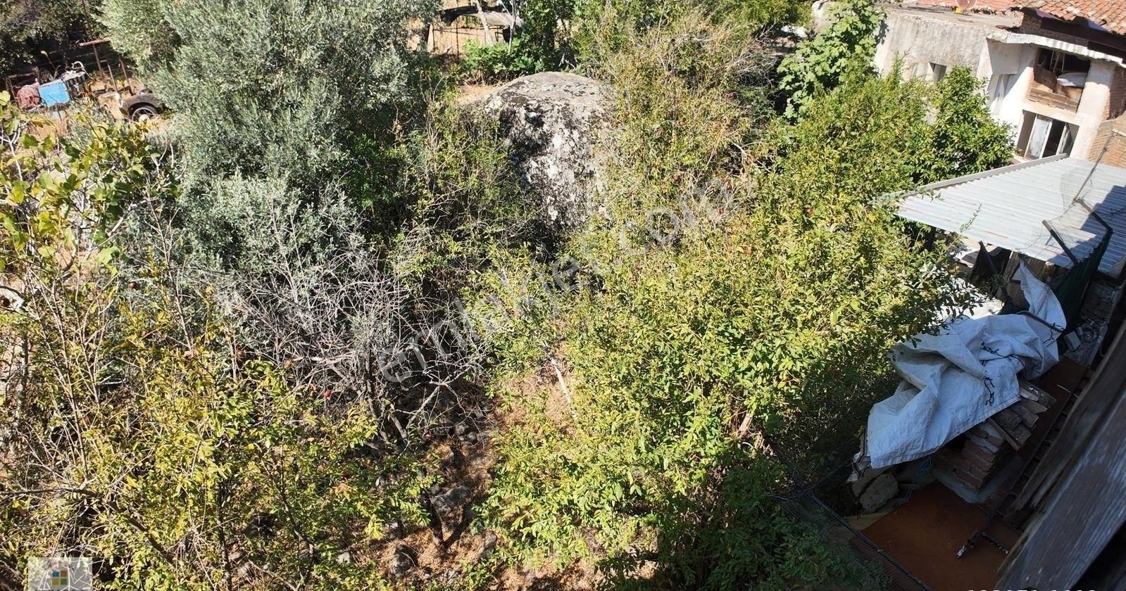 Aydın Bozdoğan Yenice Mahallesinde Satılık Müstakil Ev - Görsel 9