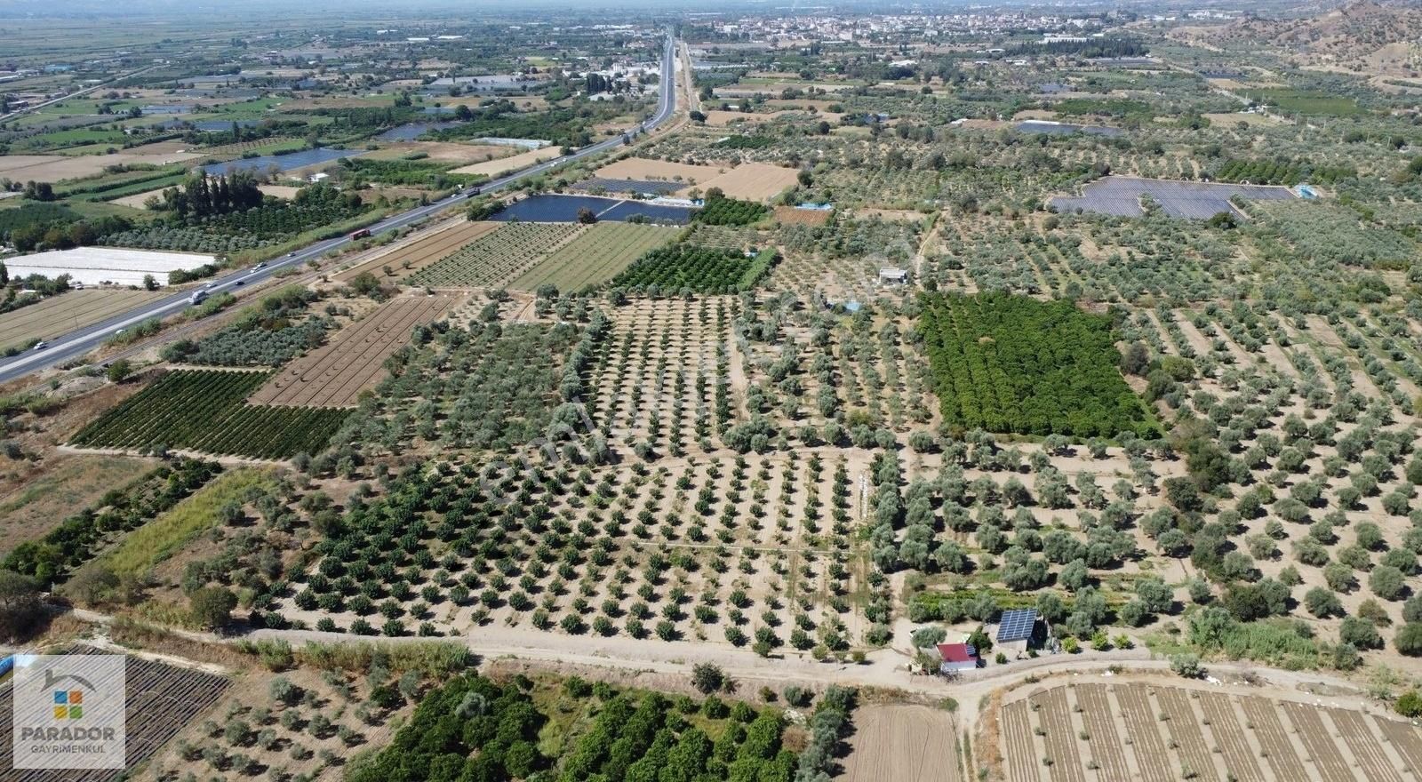 Aydın Sultanhisar Atça Mahallesinde Satılık 30385 M² Bahçe - Görsel 6