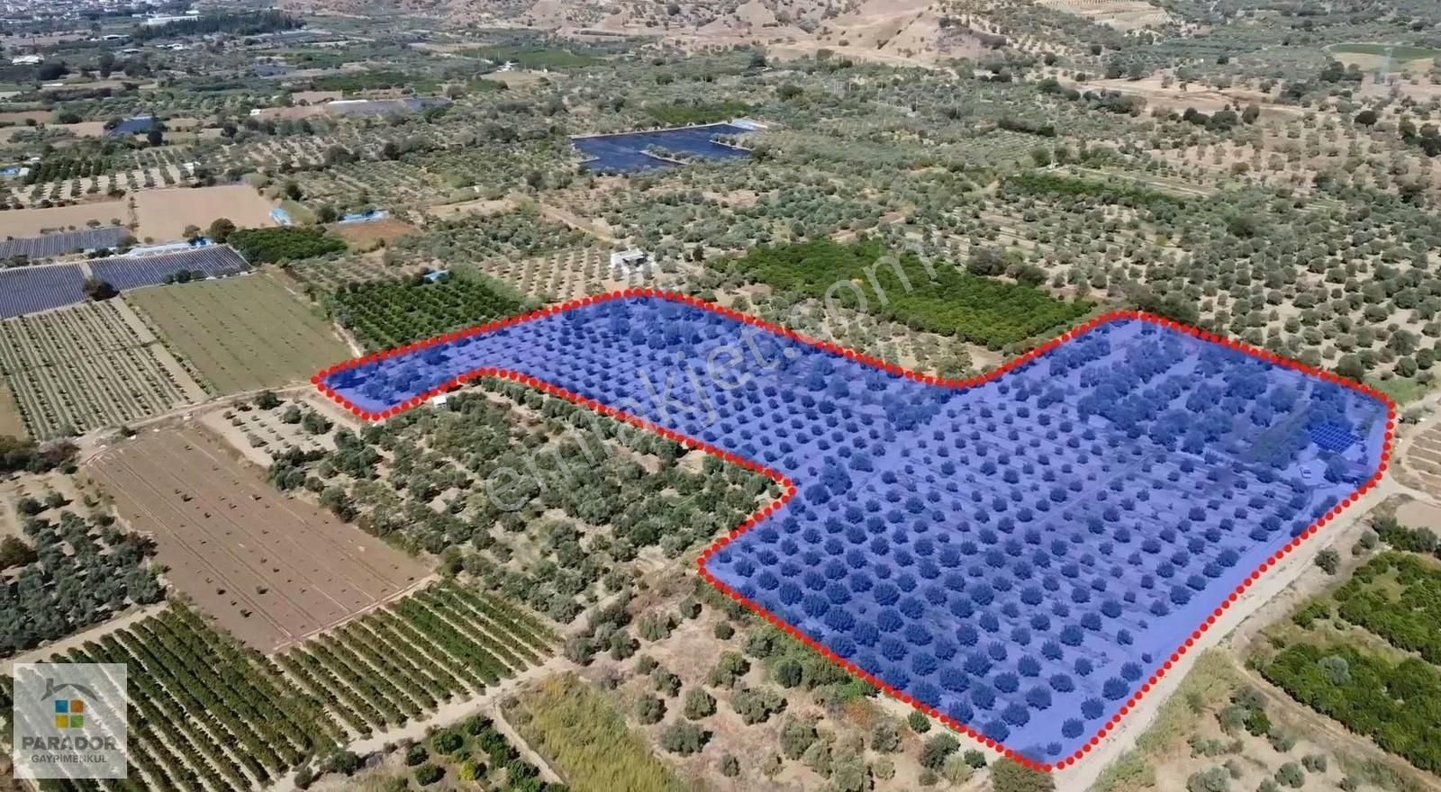Aydın Sultanhisar Atça Mahallesinde Satılık 30385 M² Bahçe - Görsel 14