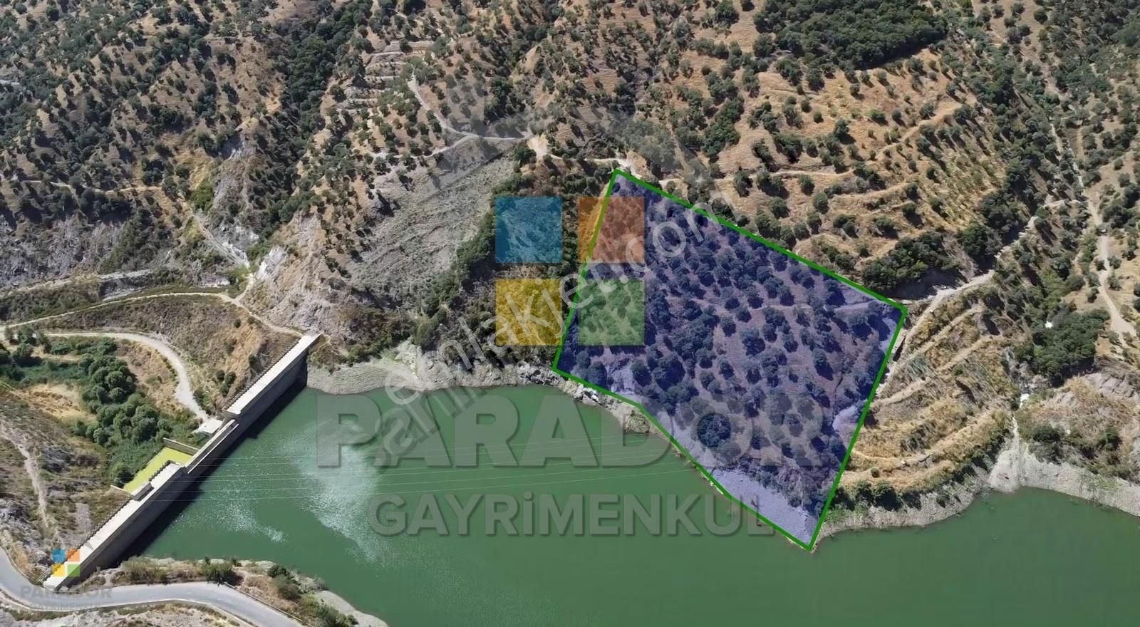 Aydın Sultanhisar Demirhan Mahallesi Satılık 9963 M² Zeytinlik - Görsel 6