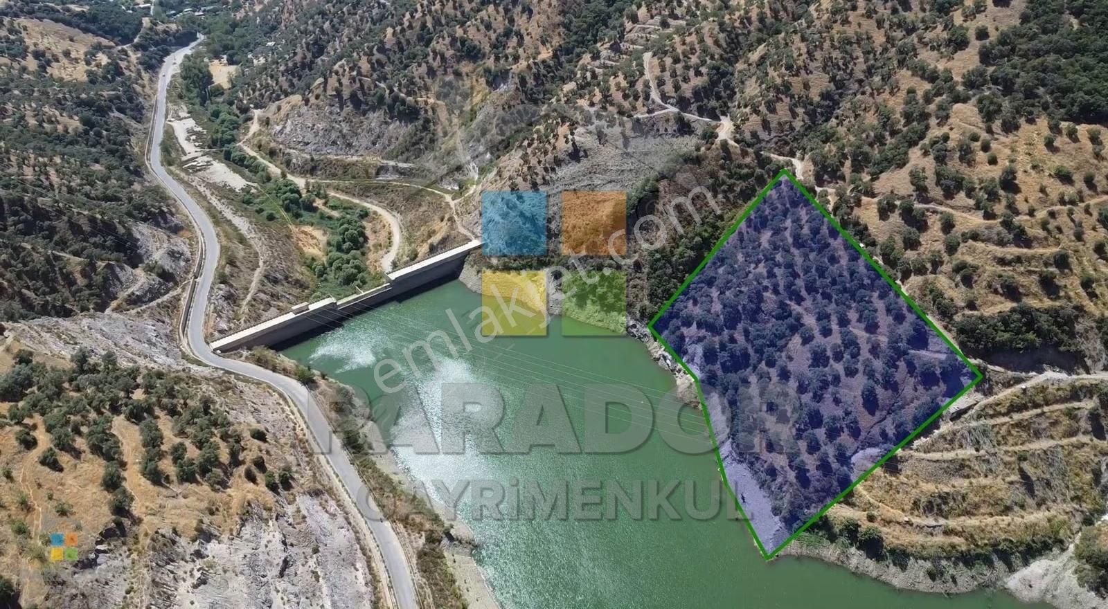 Aydın Sultanhisar Demirhan Mahallesi Satılık 9963 M² Zeytinlik - Görsel 4