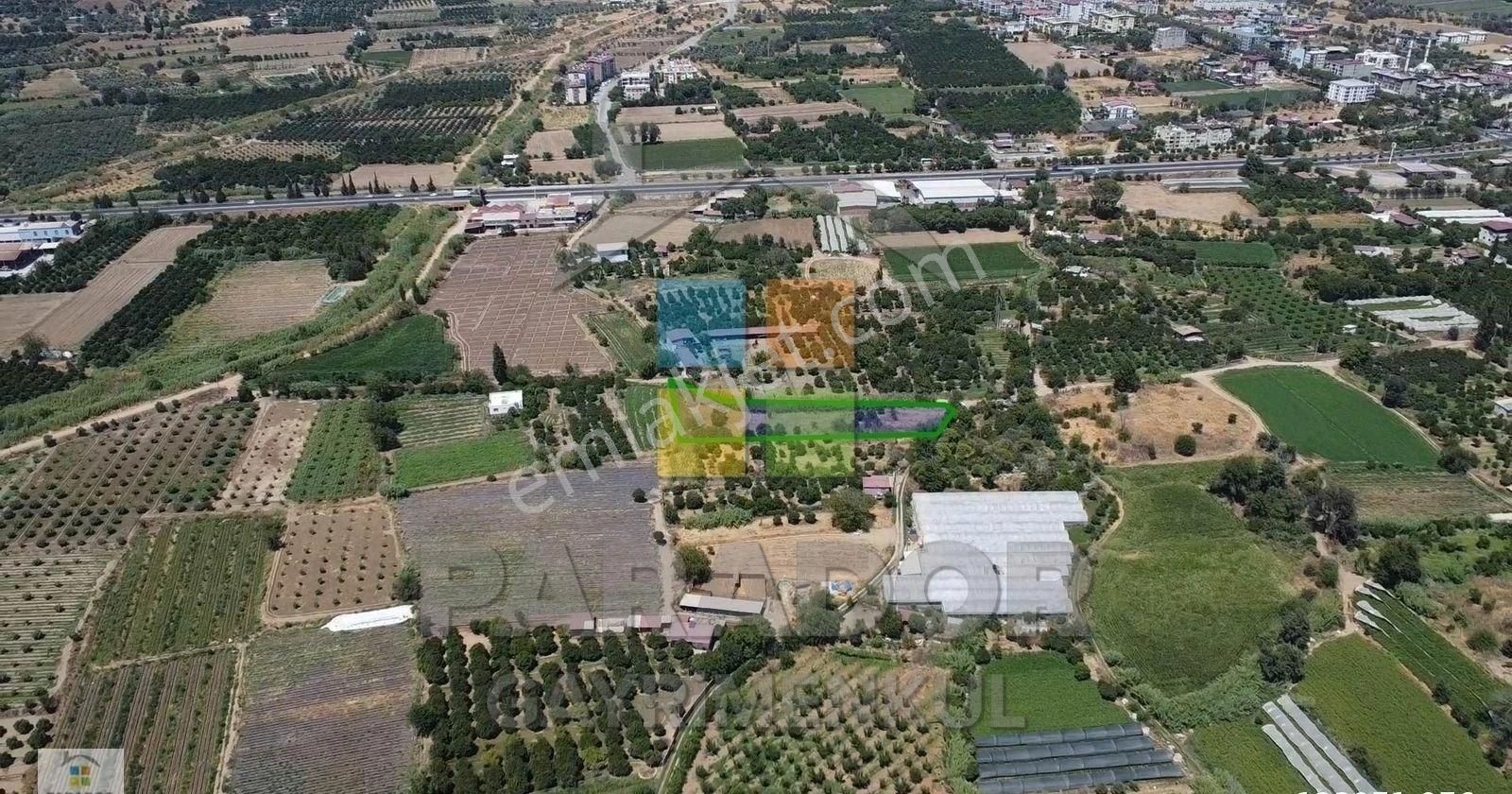 Aydın Sultanhisar Atça Mahallesinde 3362,97 M² Satılık Bahçe - Görsel 15