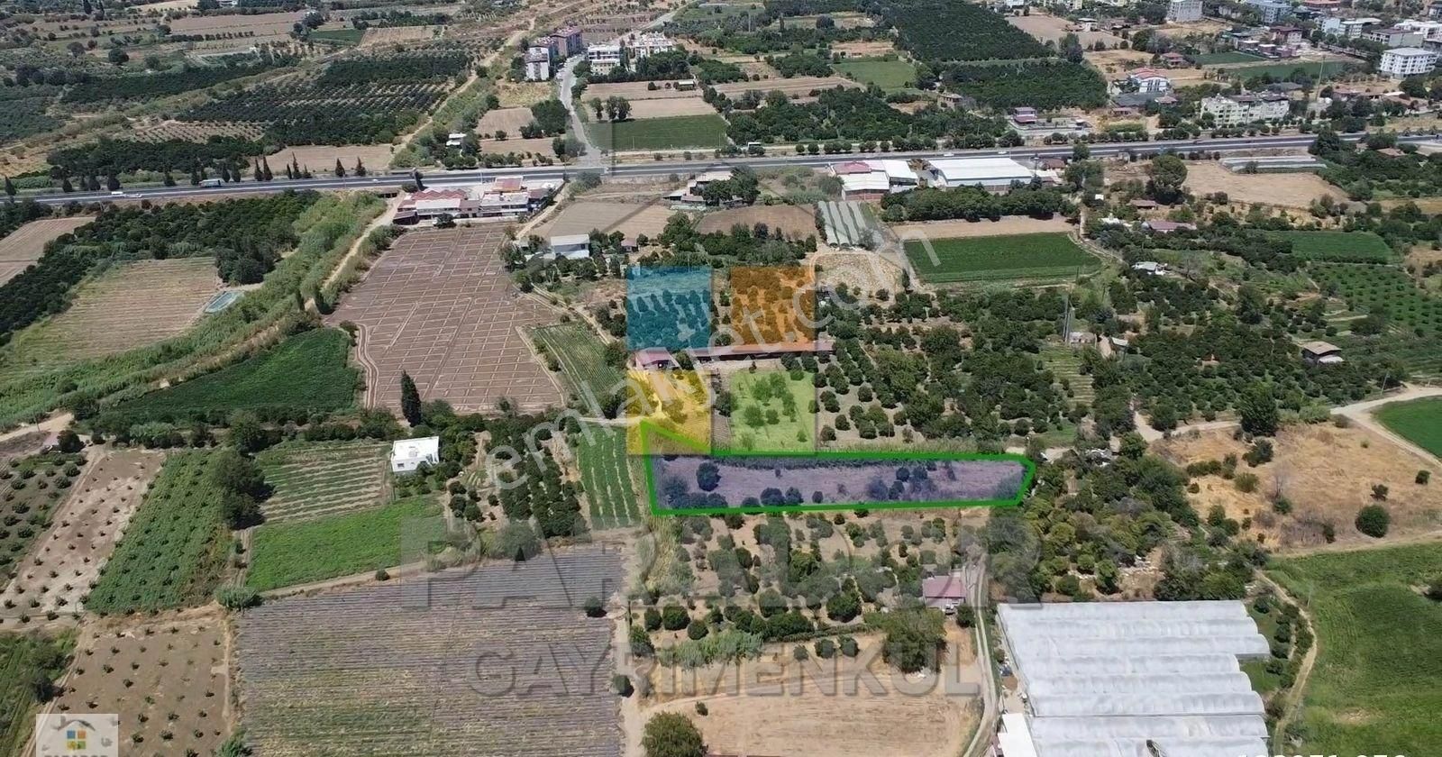 Aydın Sultanhisar Atça Mahallesinde 3362,97 M² Satılık Bahçe - Görsel 3