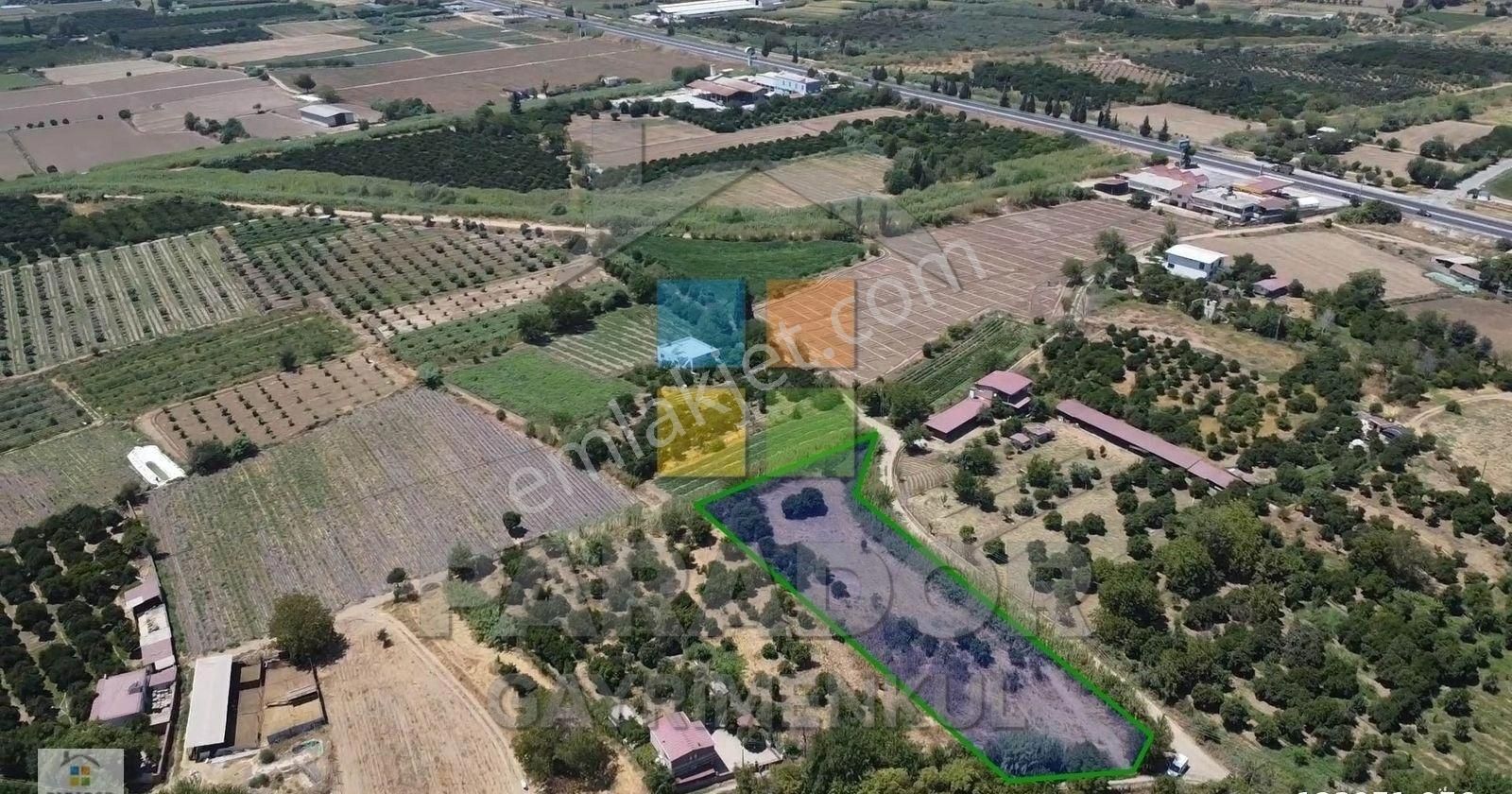 Aydın Sultanhisar Atça Mahallesinde 3362,97 M² Satılık Bahçe - Görsel 9