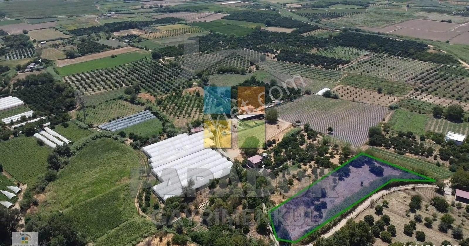 Aydın Sultanhisar Atça Mahallesinde 3362,97 M² Satılık Bahçe - Görsel 12