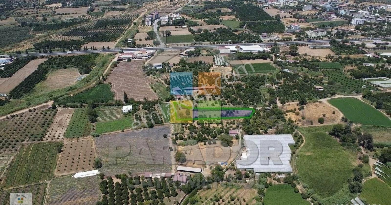 Aydın Sultanhisar Atça Mahallesinde 3362,97 M² Satılık Bahçe - Görsel 11