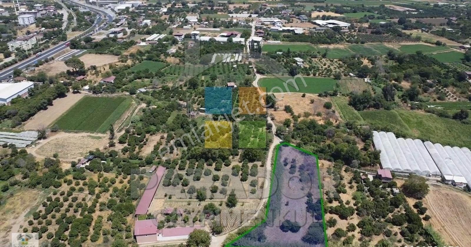 Aydın Sultanhisar Atça Mahallesinde 3362,97 M² Satılık Bahçe - Görsel 4