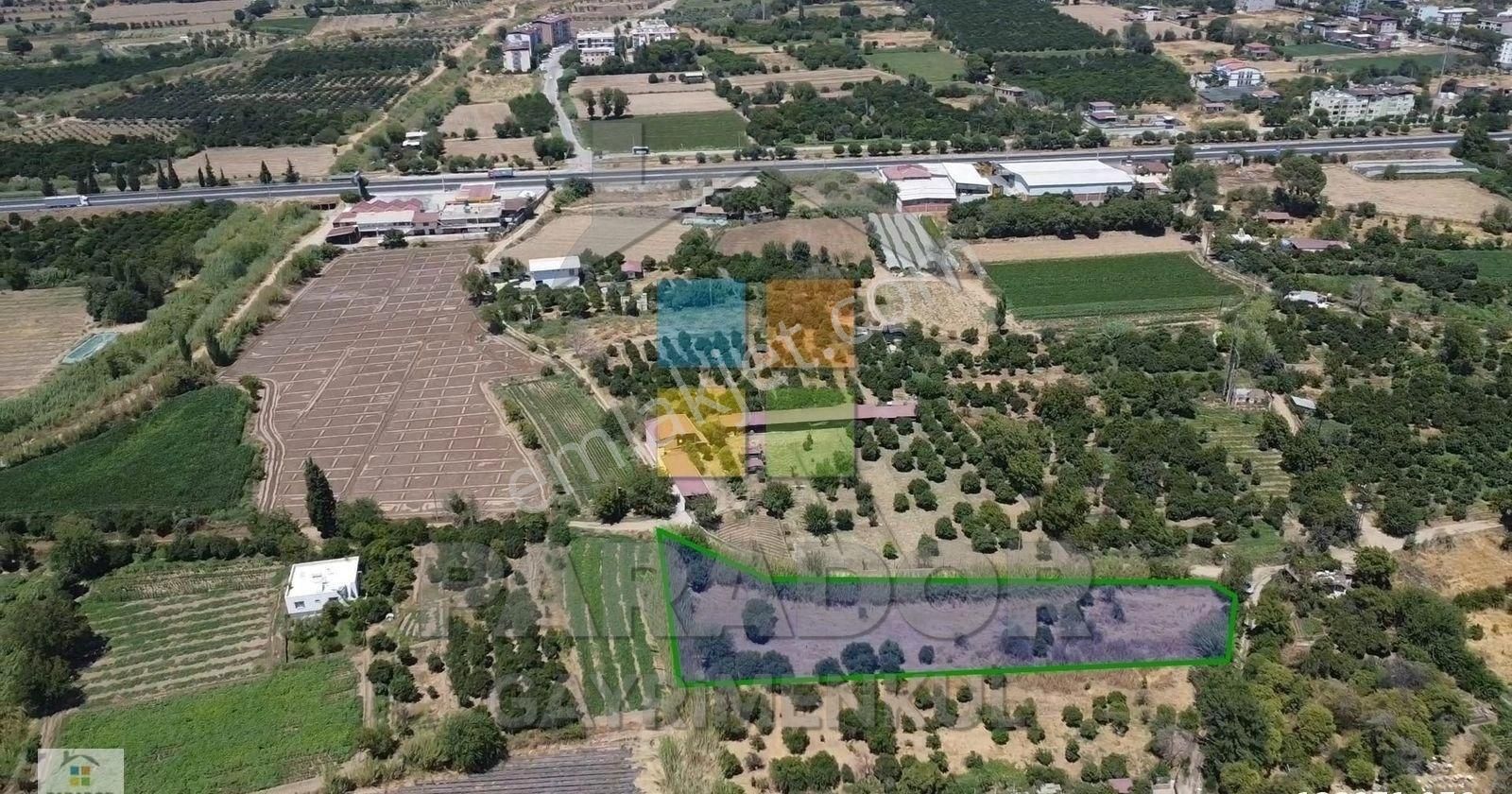 Aydın Sultanhisar Atça Mahallesinde 3362,97 M² Satılık Bahçe