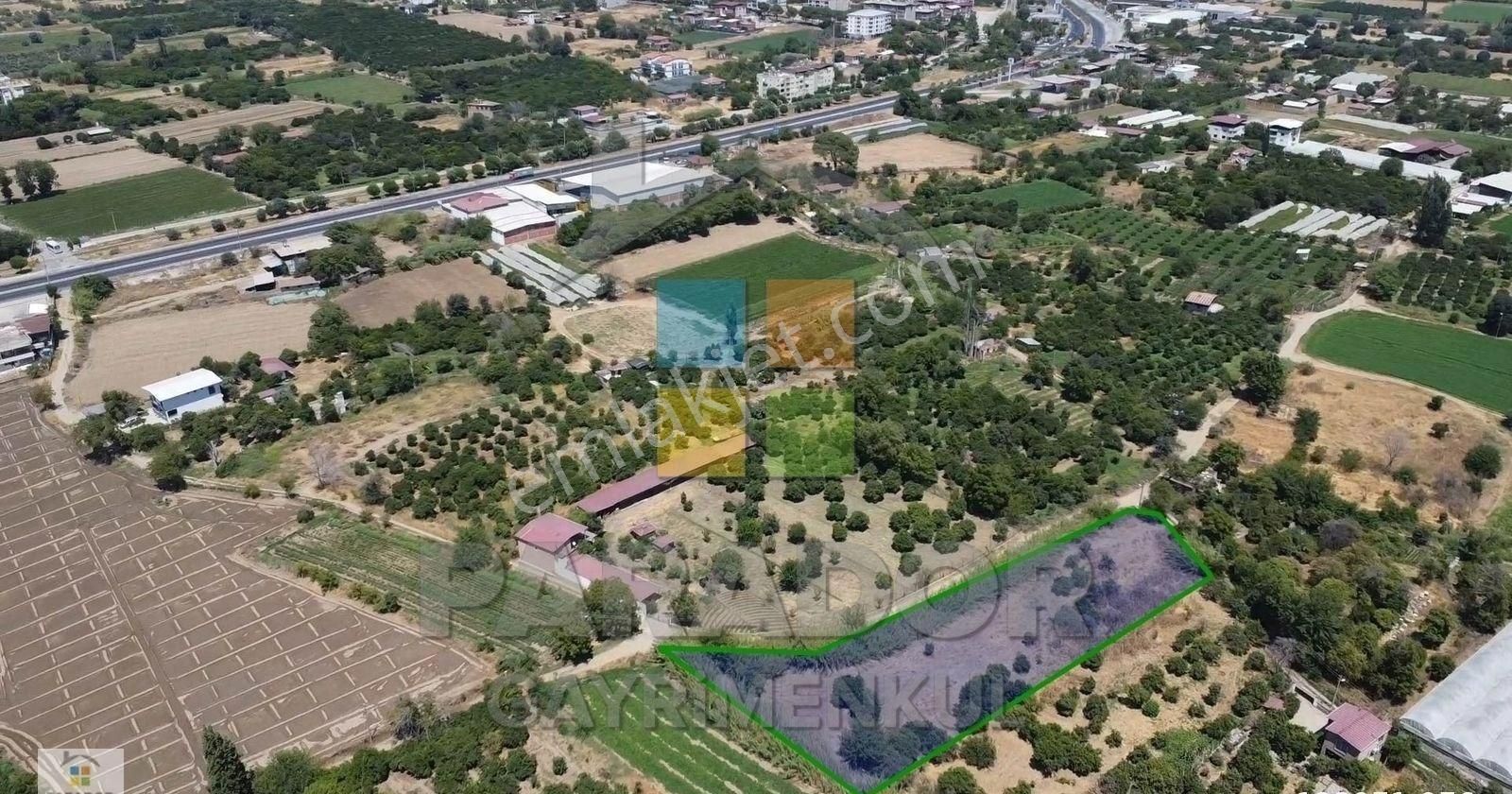 Aydın Sultanhisar Atça Mahallesinde 3362,97 M² Satılık Bahçe - Görsel 7