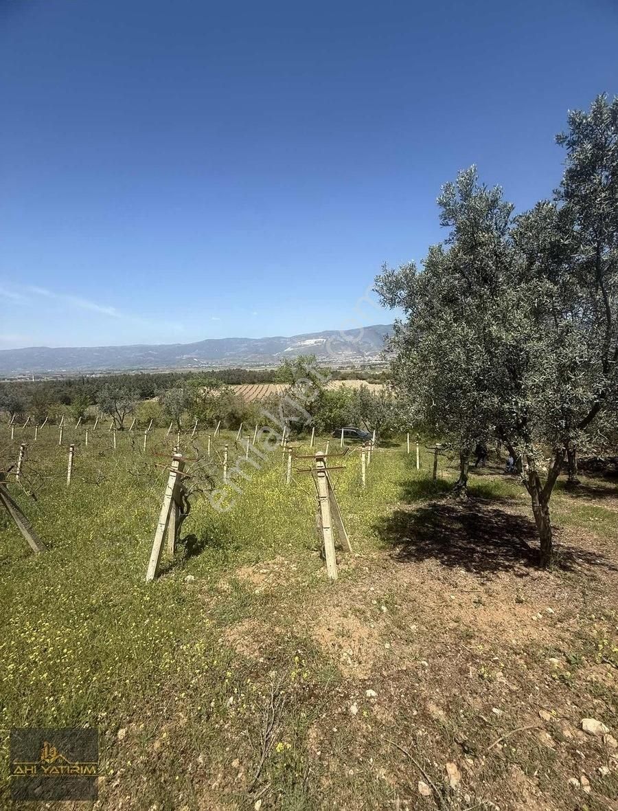 Ahi Yatırım'dan Yola Cepheli Fırsat Arazi - Görsel 4