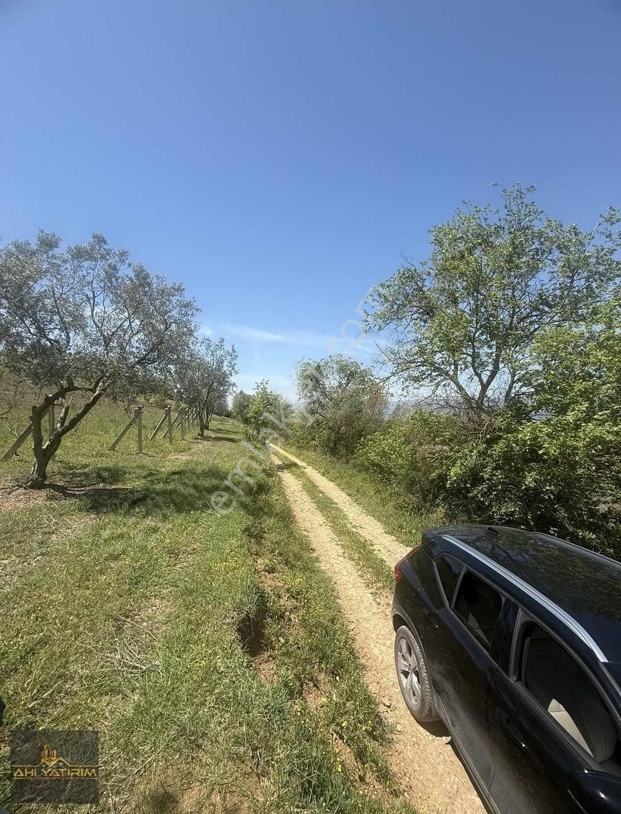 Ahi Yatırım'dan Yola Cepheli Fırsat Arazi