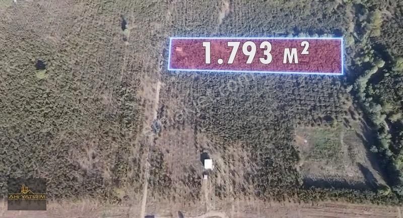 Ahi Gayrimenkul'den Karapürçek'de Yatırımlık Fındık Tarlası - Görsel 3