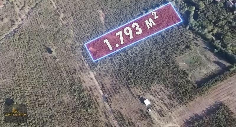 Ahi Gayrimenkul'den Karapürçek'de Yatırımlık Fındık Tarlası - Görsel 2