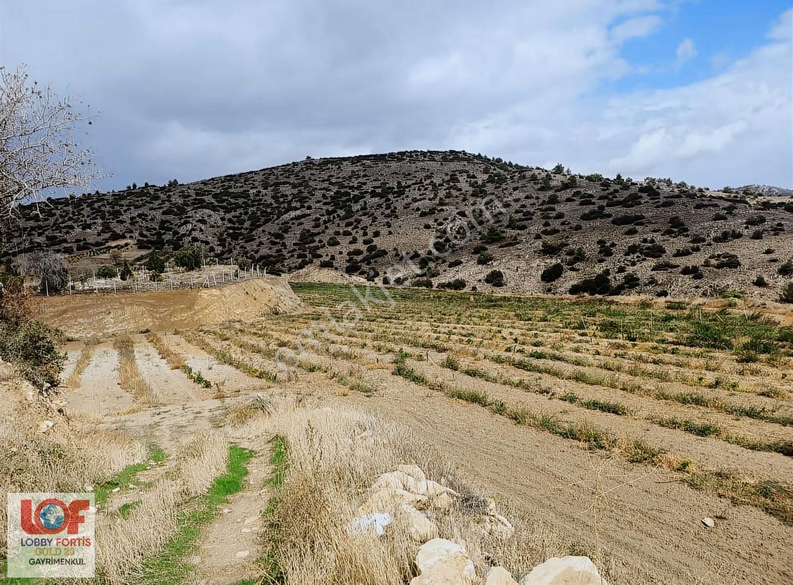Lobby Fortis'ten Buldan Yenicekent' Te Satılık 15021 M2 Tarla