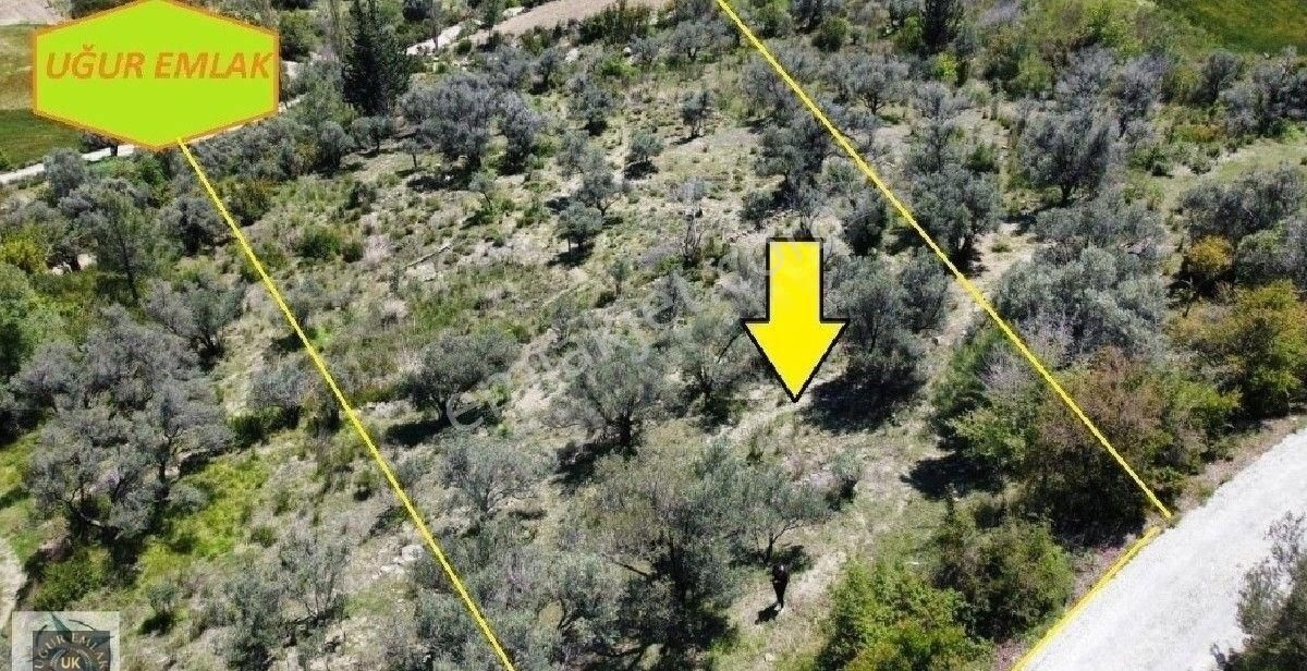 Muğla Seydikemer Söğütlüdere'de Köyiçi İmarlı Satılık Arazi.