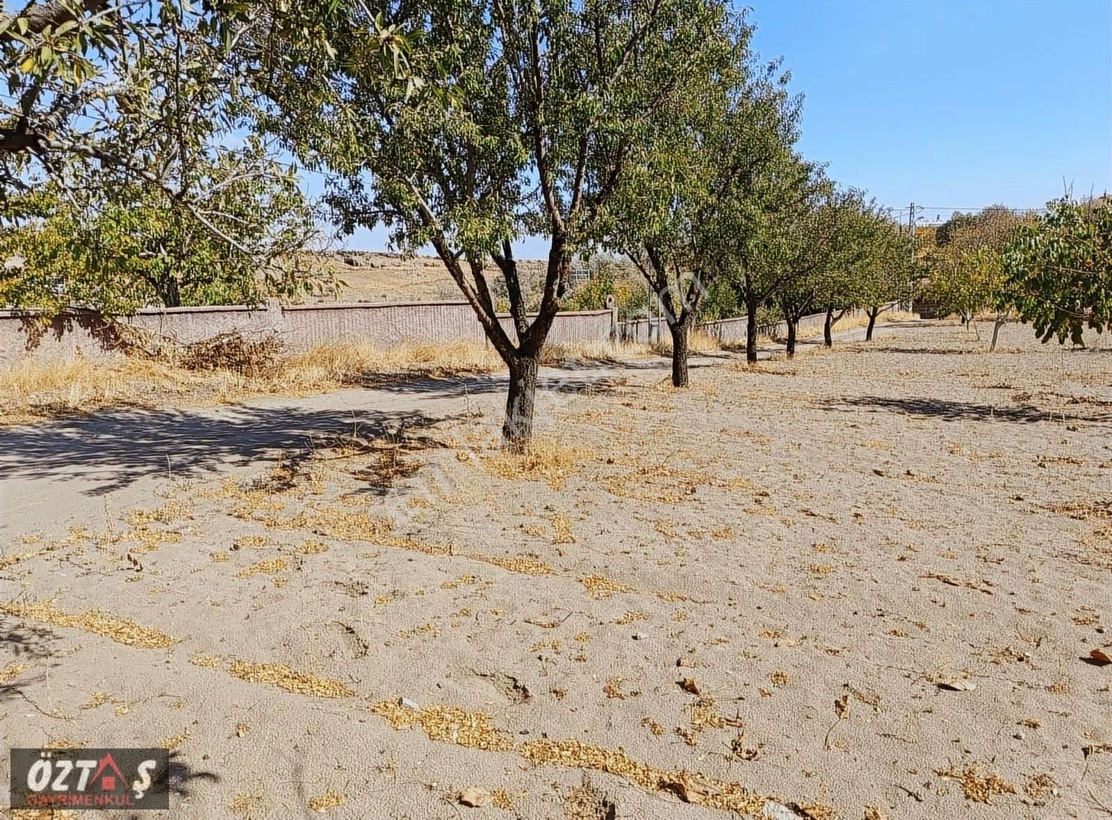 Garipçede Temiz Köşe Villa Arsası - Görsel 9