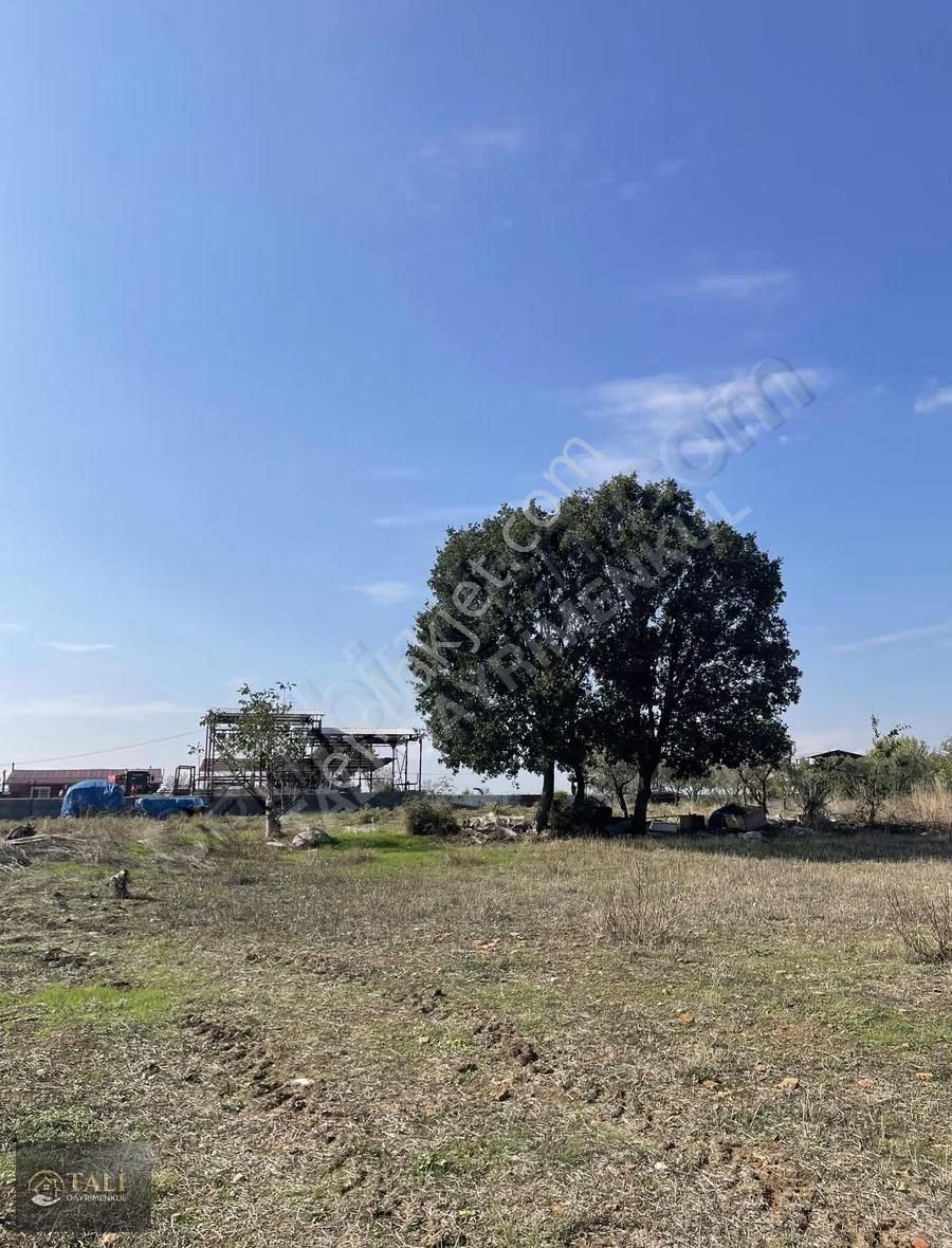 Akçalar'da Tek Tapu Gelecek Vadeden Tarla - Görsel 10