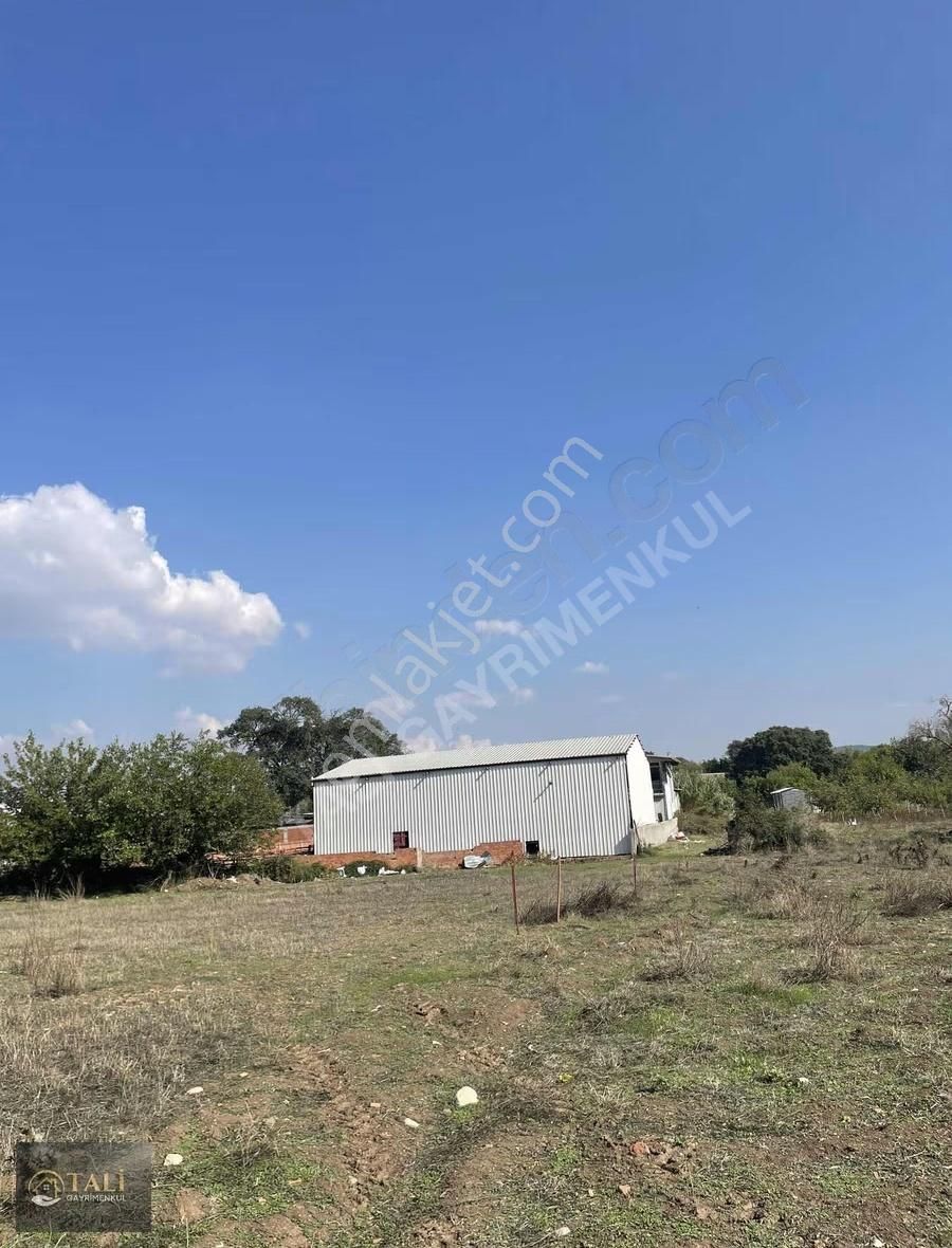 Akçalar'da Tek Tapu Gelecek Vadeden Tarla - Görsel 6