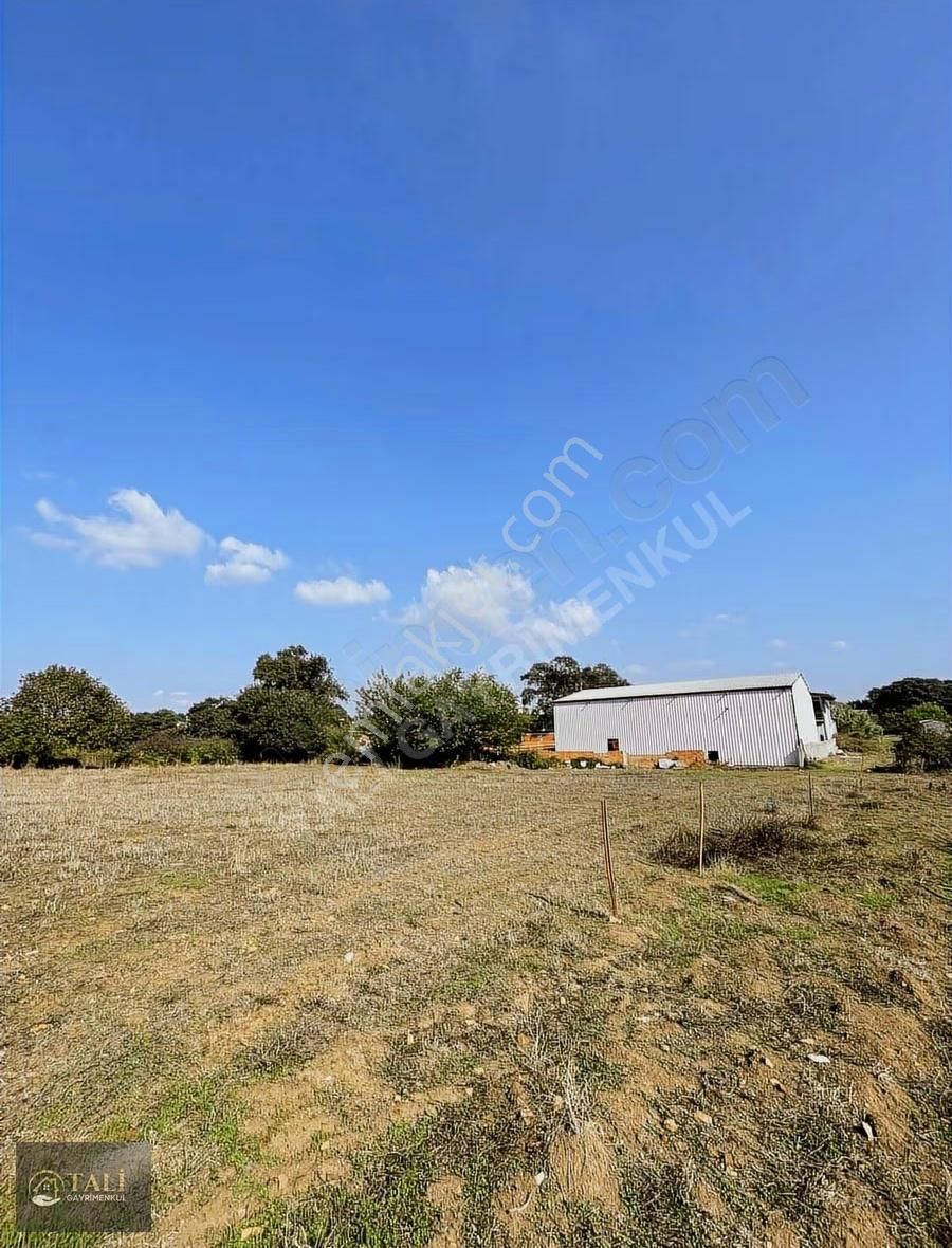 Akçalar'da Tek Tapu Gelecek Vadeden Tarla - Görsel 2