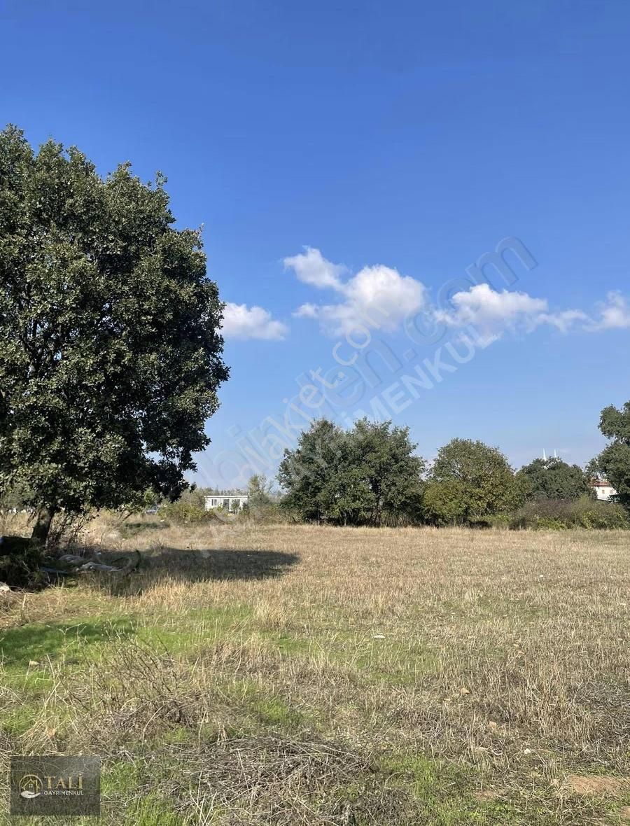 Akçalar'da Tek Tapu Gelecek Vadeden Tarla - Görsel 7