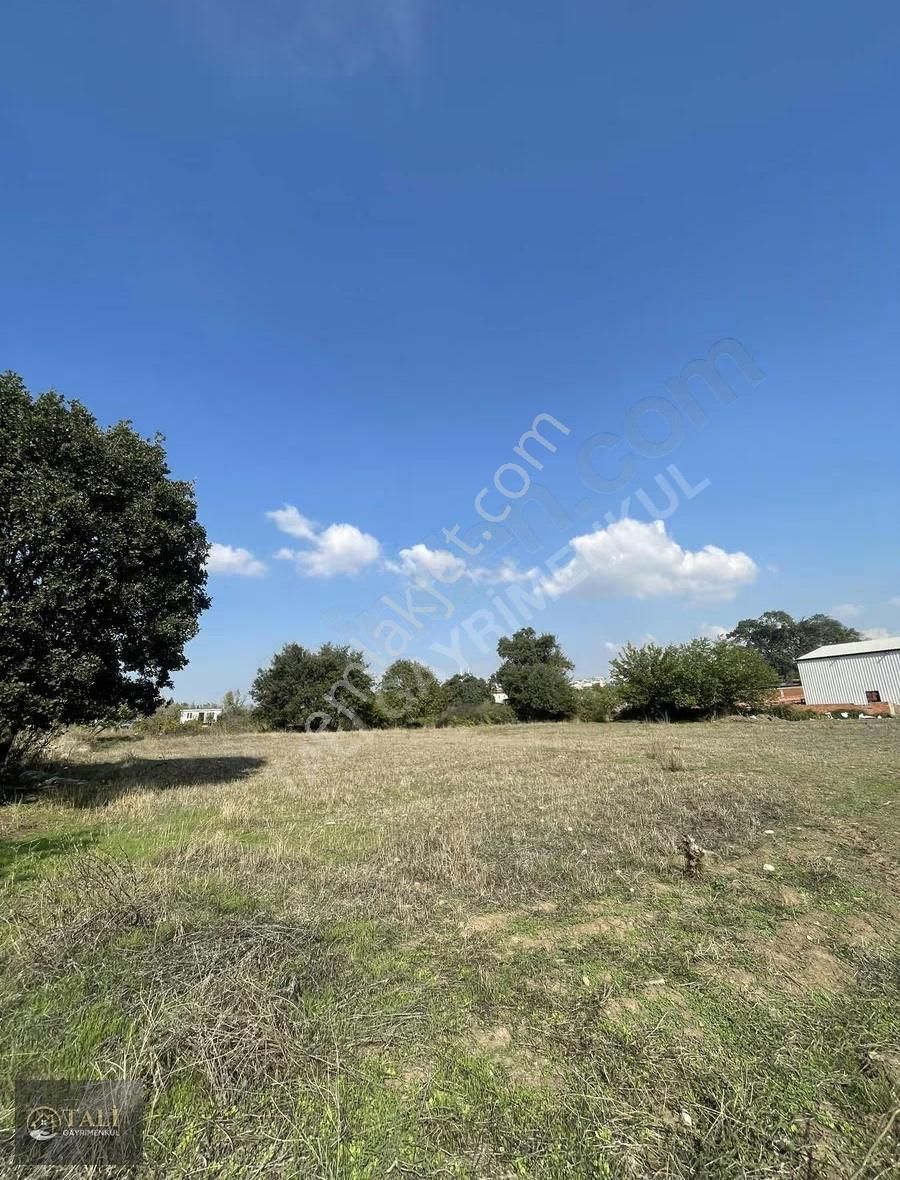 Akçalar'da Tek Tapu Gelecek Vadeden Tarla - Görsel 5
