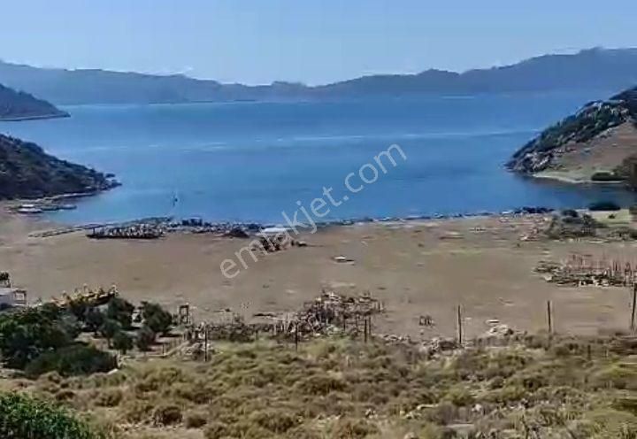 Ebrar&can'dan Tavşanbükü Full Deniz Manzaralı 7647 Metrekare