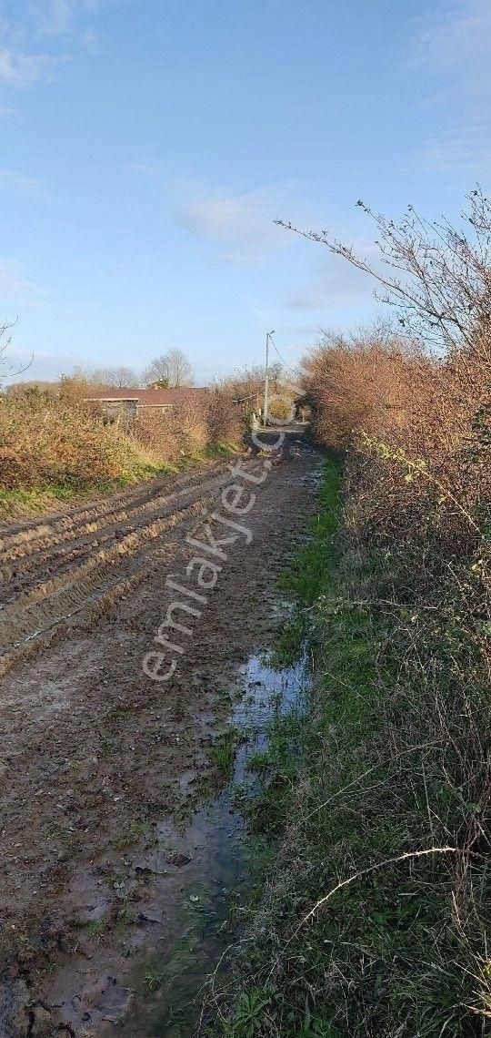 Yılmaz Emlaktan Fırsat Kupon Yer - Görsel 3