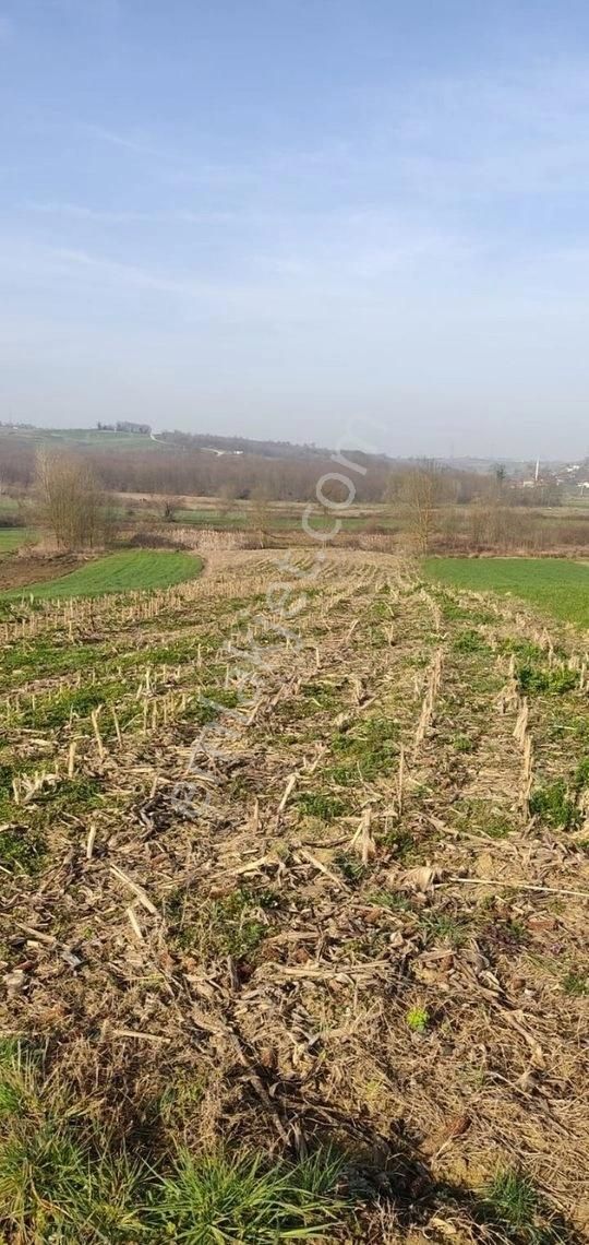 Yılmaz Emlaktan Mükemmel Tarla - Görsel 22