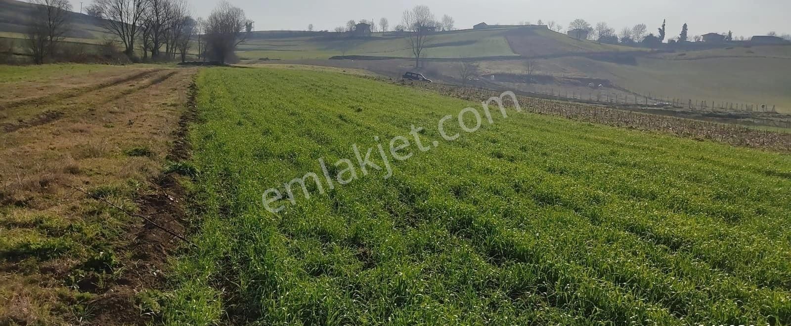 Yılmaz Emlaktan Mükemmel Tarla