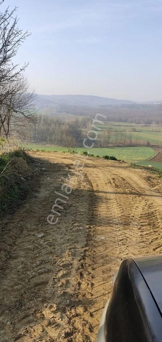 Yılmaz Emlaktan Mükemmel Tarla - Görsel 21