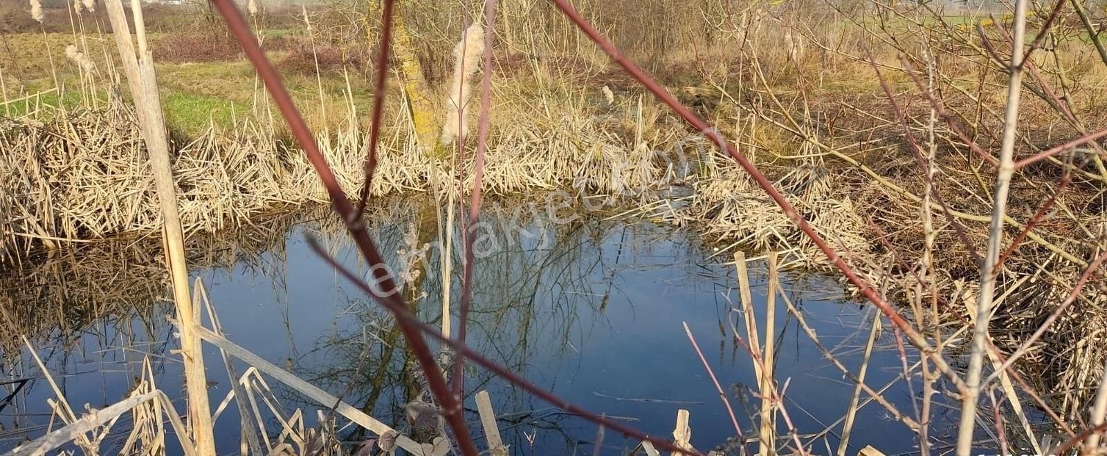 Yılmaz Emlaktan Mükemmel Tarla - Görsel 5