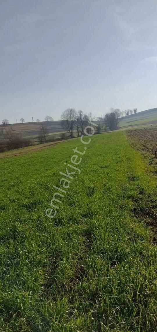 Yılmaz Emlaktan Mükemmel Tarla - Görsel 13