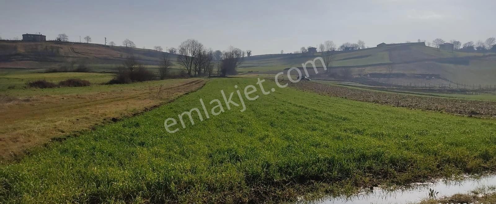 Yılmaz Emlaktan Mükemmel Tarla - Görsel 19