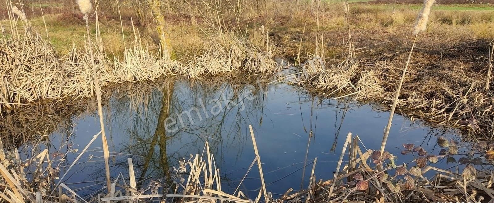 Yılmaz Emlaktan Mükemmel Tarla - Görsel 8