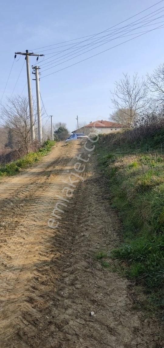 Yılmaz Emlaktan Mükemmel Tarla - Görsel 7