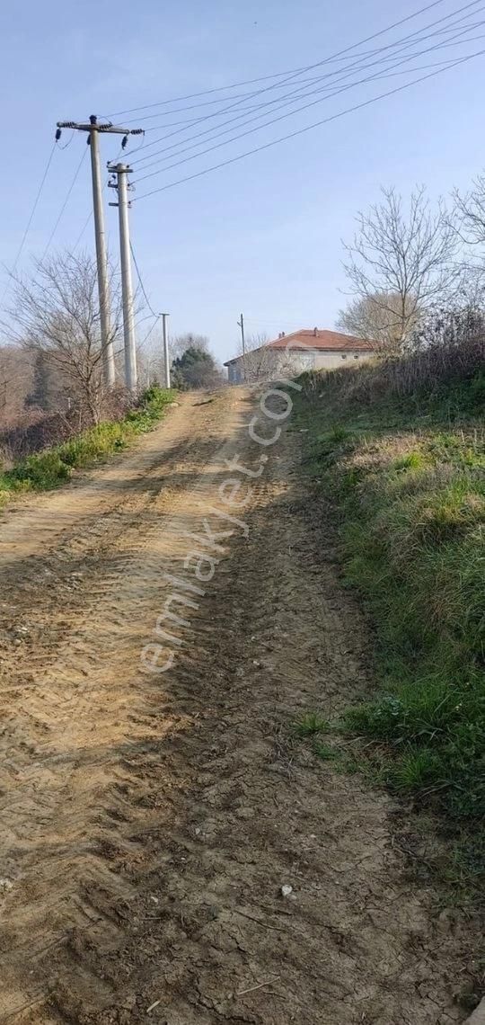 Yılmaz Emlaktan Mükemmel Tarla - Görsel 12