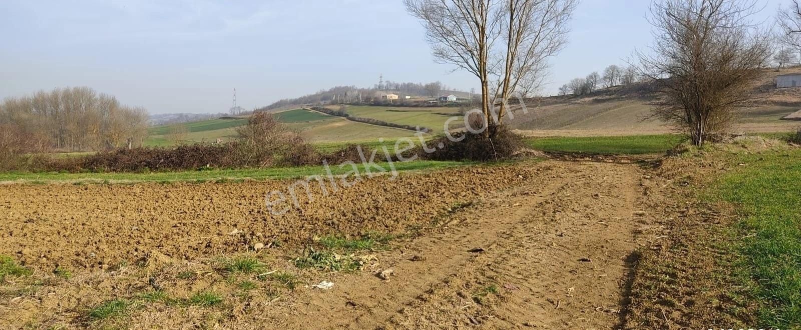 Yılmaz Emlaktan Mükemmel Tarla - Görsel 18