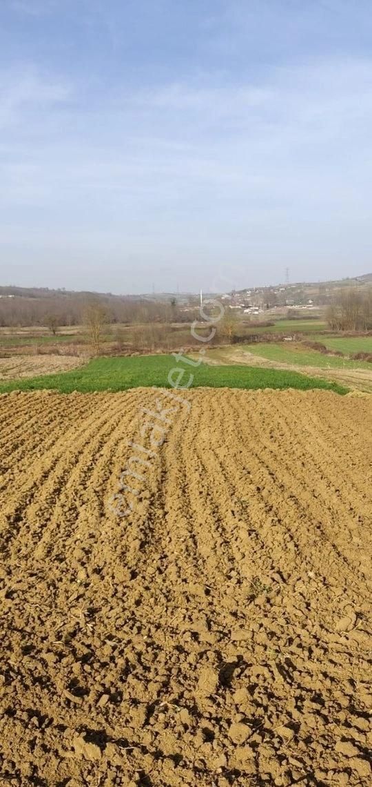 Yılmaz Emlaktan Mükemmel Tarla - Görsel 20