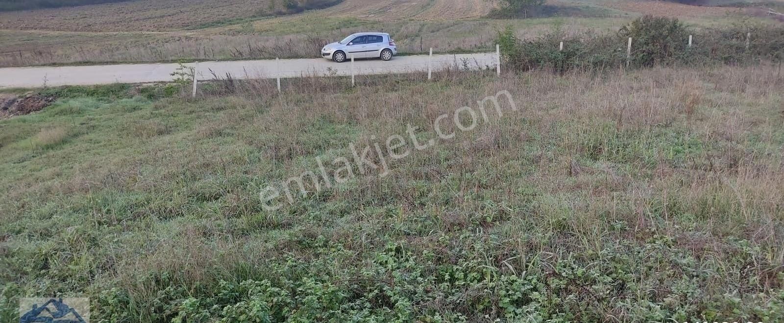 Yılmaz Emlaktan Alsvalt Cepheli Mükemmel Fırsat