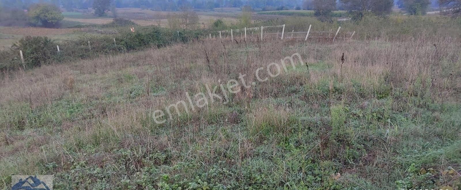 Yılmaz Emlaktan Alsvalt Cepheli Mükemmel Fırsat - Görsel 6