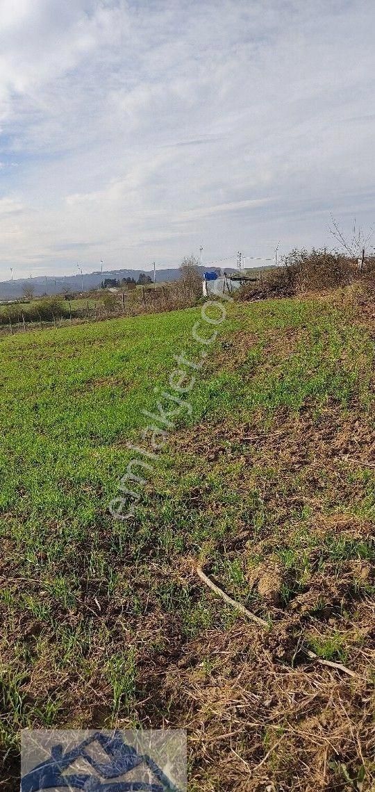 Yılmaz Emlak'tan Kocaeli/kandıra/çalköymah. Harika Yatırım Fırsatı - Görsel 3