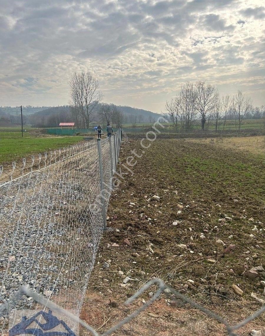 Kandıra Yılmaz Emlak'tan Asvalt Cepheli Yer - Görsel 14