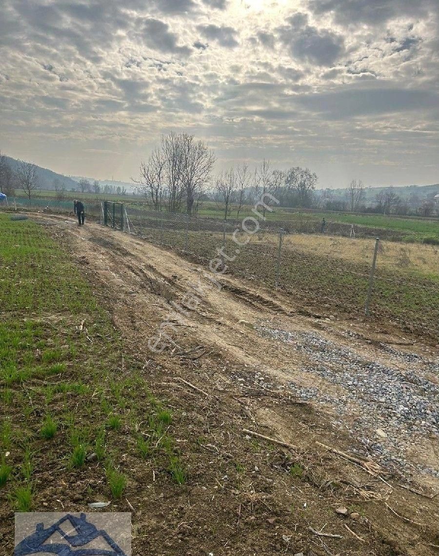 Kandıra Yılmaz Emlak'tan Asvalt Cepheli Yer - Görsel 19