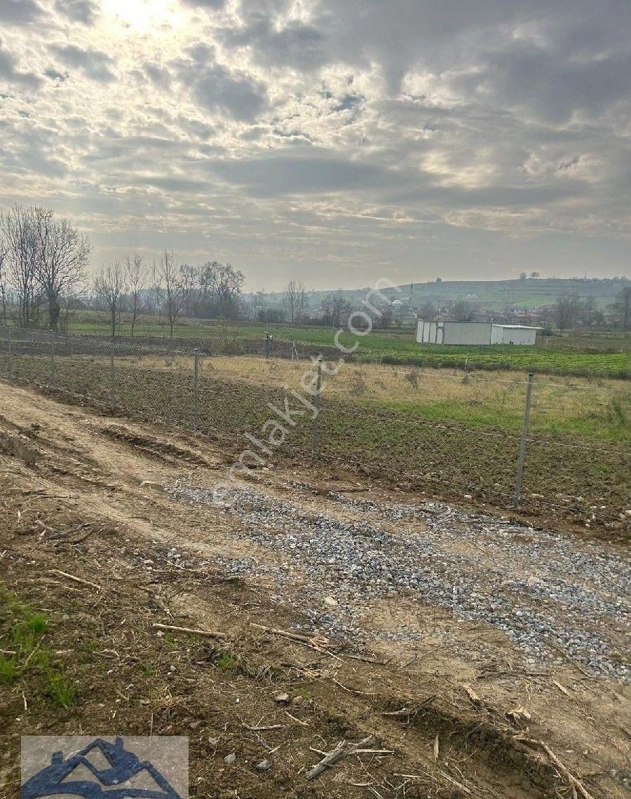 Kandıra Yılmaz Emlak'tan Asvalt Cepheli Yer - Görsel 17