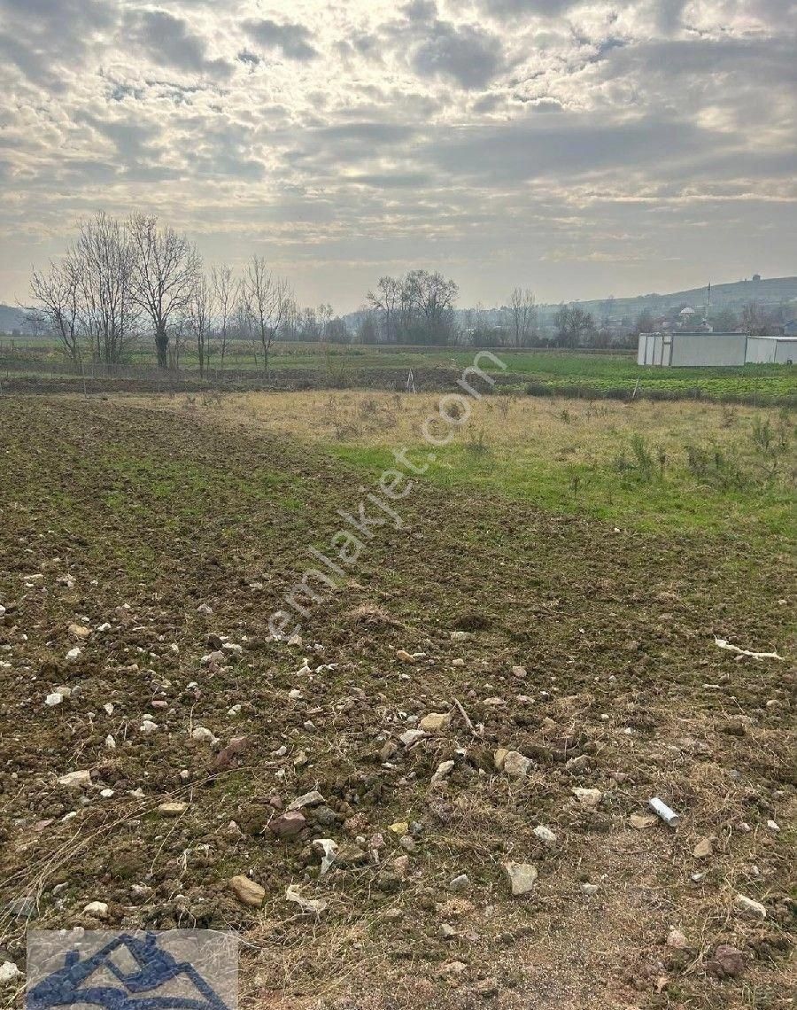 Kandıra Yılmaz Emlak'tan Asvalt Cepheli Yer - Görsel 3